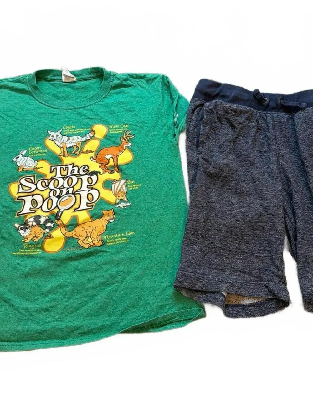 Fruit of The Loom & Gap Boys Lot of T-Shirt and Shorts - Large